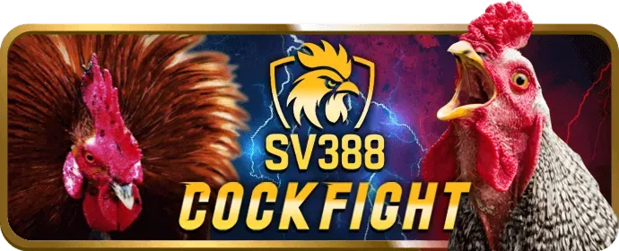 Chính sách bảo mật và công bằng tại 99WIN3